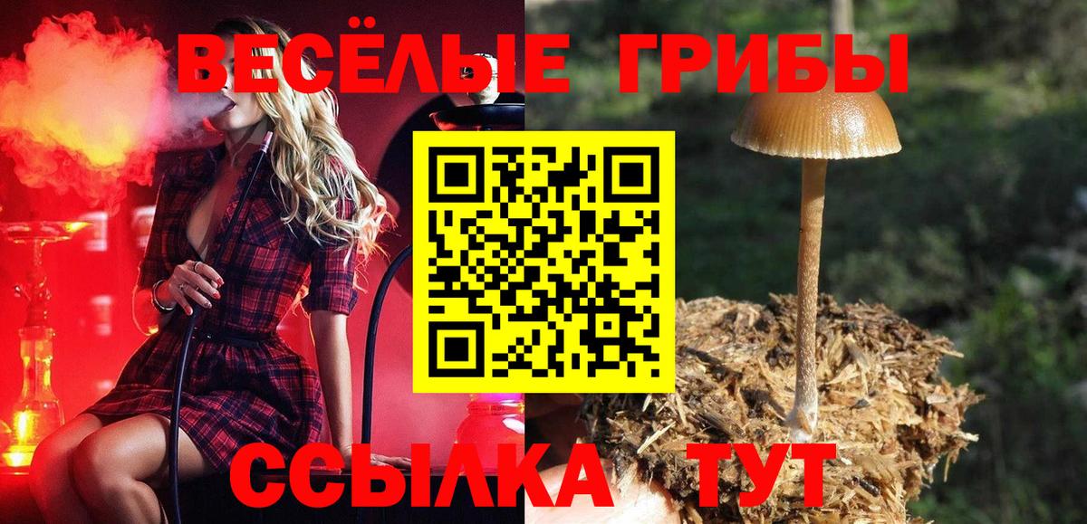 Орёл  Галлюциногенные грибы ЛСД  Вход с VPN 